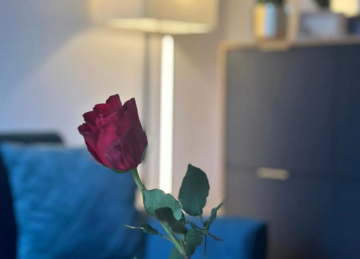 Bella Blue Apartment Kolobrzeg